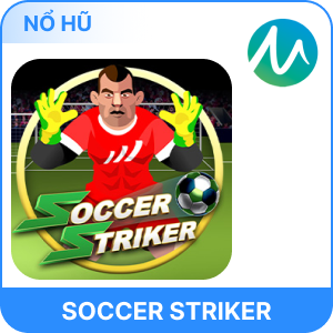 Soccer Striker