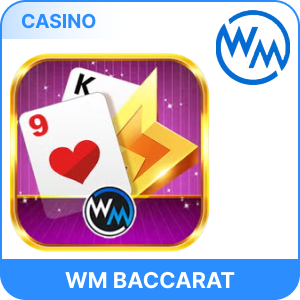 WM Baccarat
