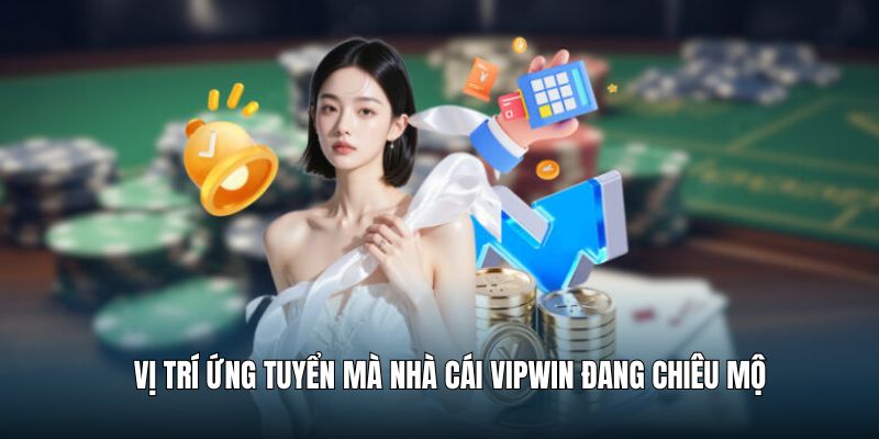 Một số vị trí đang tuyển dụng tại VIPwin