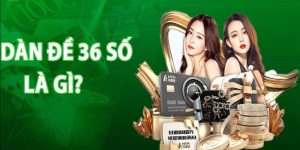 Giới thiệu phương pháp nuôi dàn đề 36 số