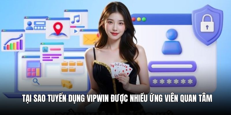 Tại sao Tuyển dụng tại VIPwin được nhiều ứng viên quan tâm?