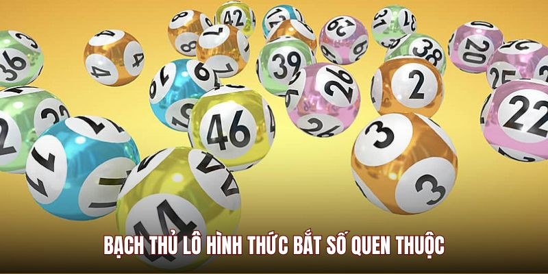 Khái quát cơ bản về bạch thủ lô là gì cho người mới